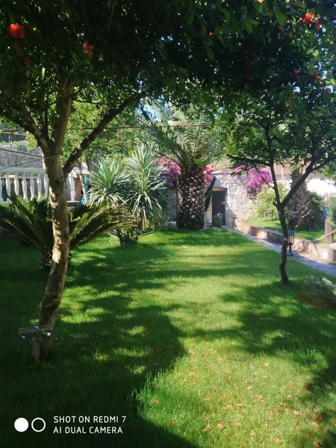 Villa Stella Rose Luštica Buitenkant foto
